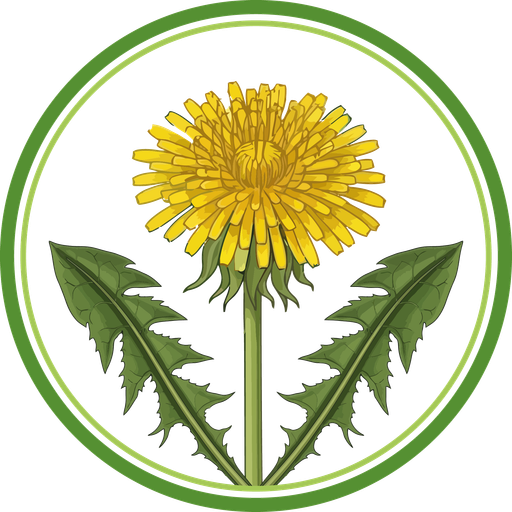 Naturheilpraxis Heibei